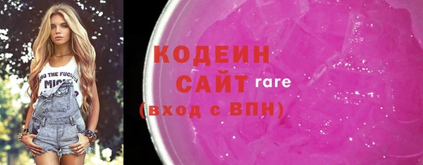 прущий лед Алзамай