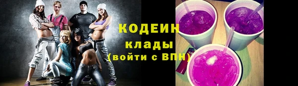 прущий лед Алзамай