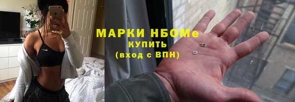 прущий лед Алзамай