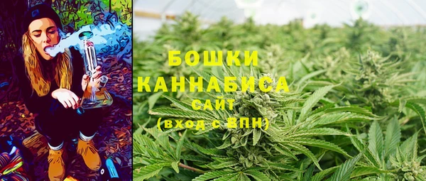 прущие грибы Абдулино