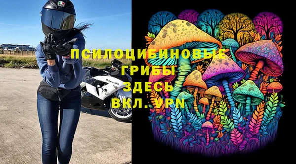 прущий лед Алзамай