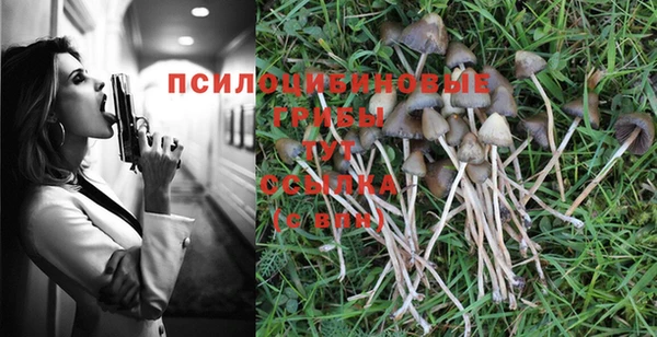 дживик Алексин