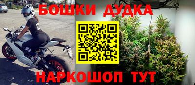 прущие грибы Конаково