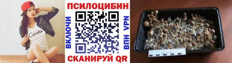Псилоцибиновые грибы ЛСД  kraken онион  Карасук 