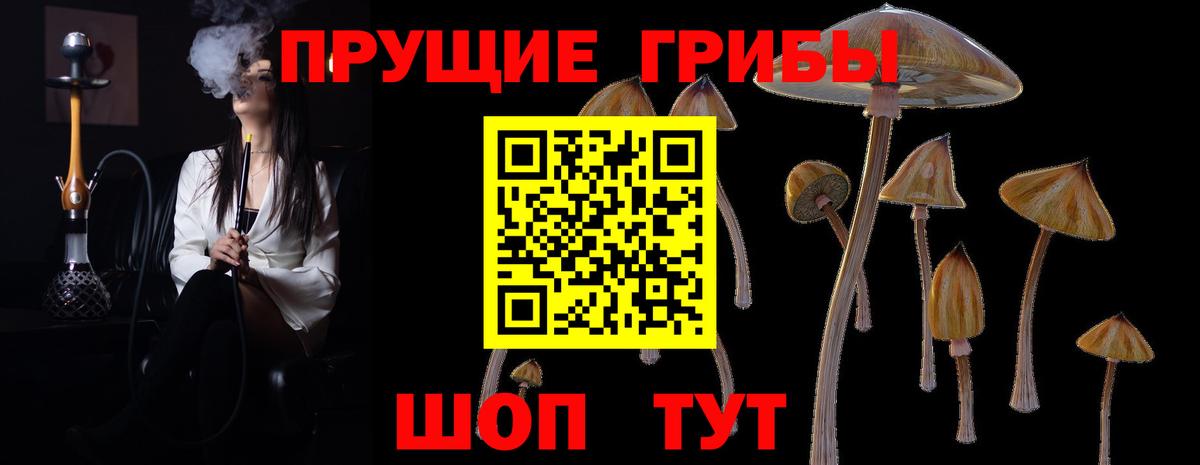 сколько стоит  Галлюциногенные грибы Cubensis  Вход с VPN  Карасук 